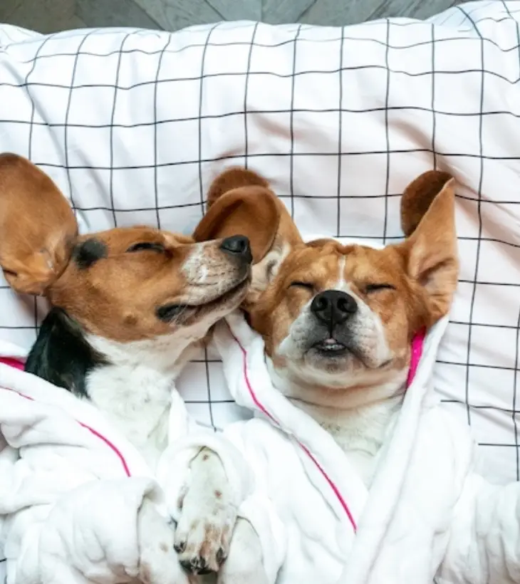 Image du canal Saint-Martin à Paris, à deux pas de l'hôtel